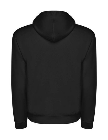 Sudadera Lunatic
